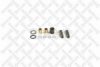 RENAULT 0948360842S Brake Shoe Pin Set